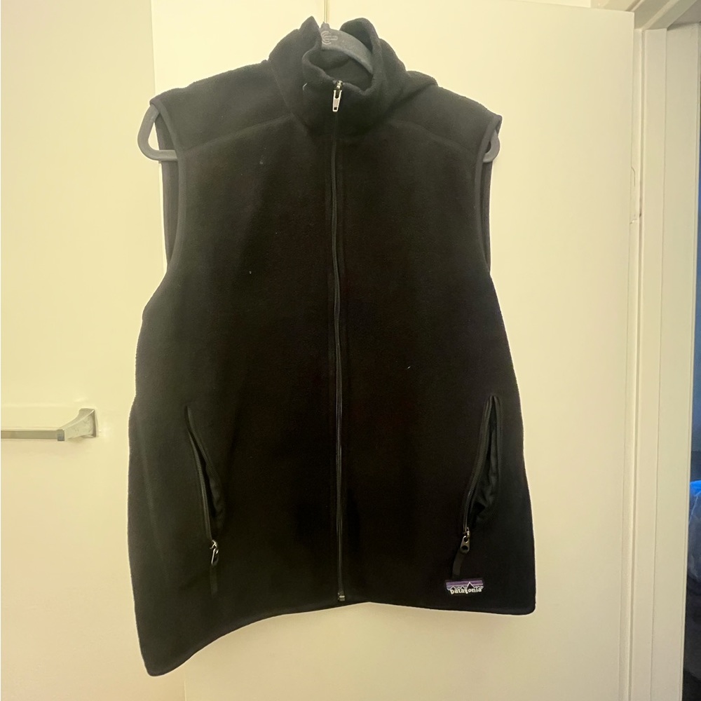 Patagonia Synchilla Fleece Vest